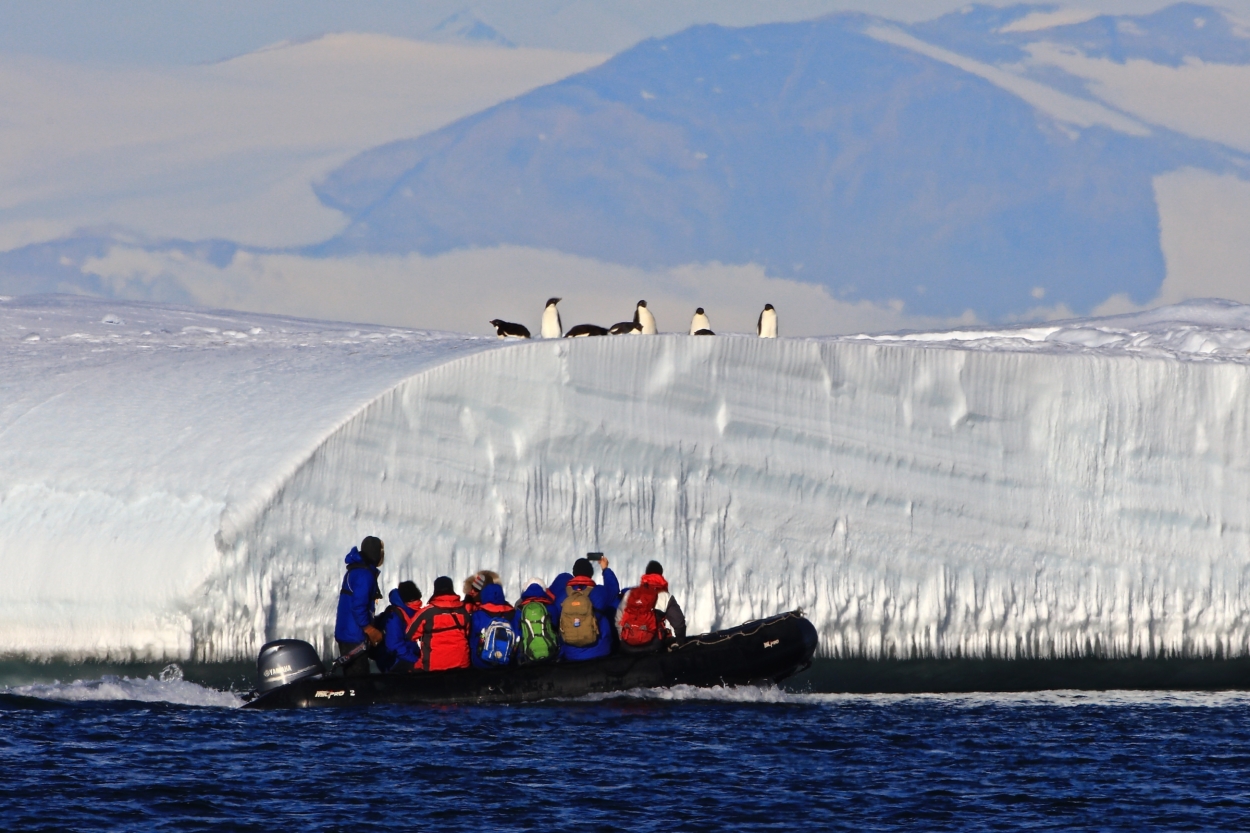 Videos from Antarctica