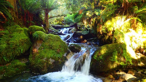Cascade to holyford Hike