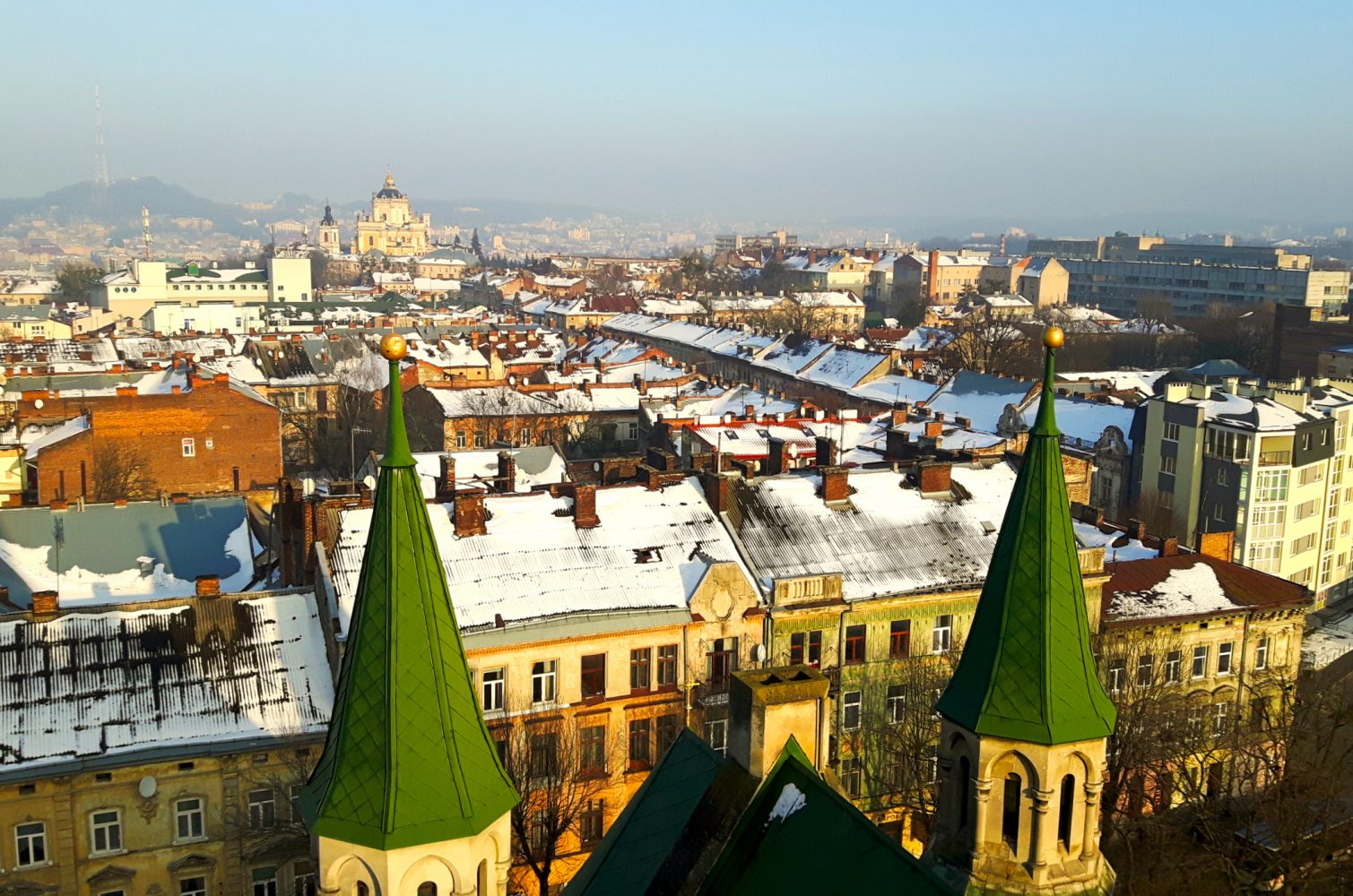 Lviv City View