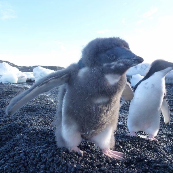 Work in Antarctica