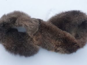 Extreme Expedition Possum Fur Loop Buff - Protect from Frostbite!