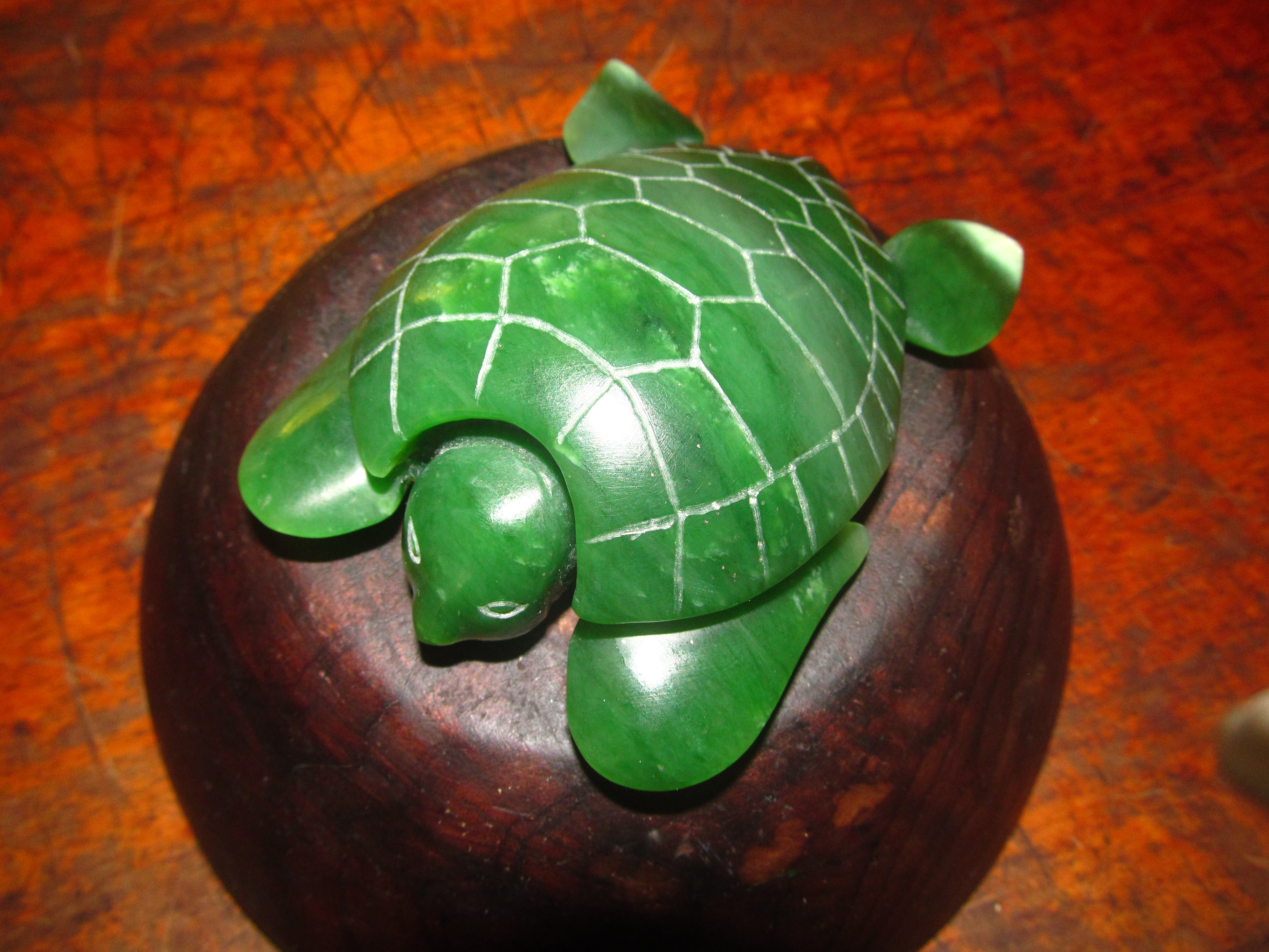 Turtle