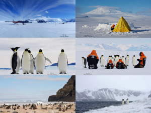 Antarctica Desktop Collection